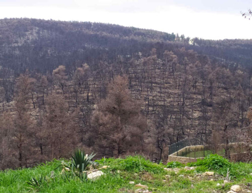 Construction of anti-flood works after a wildfire in Attica